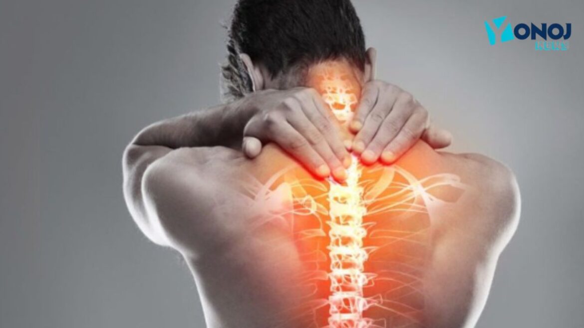 spinal cord: आज ही शुरू करें! रीढ़ की हड्डी को मजबूत बनाने के 5 आसान तरीके, लंबी उम्र तक रहेंगे फिट और युवा
